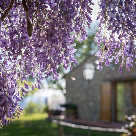 Le Cetinelle Vendégház Greve in Chianti Kültér fotó
